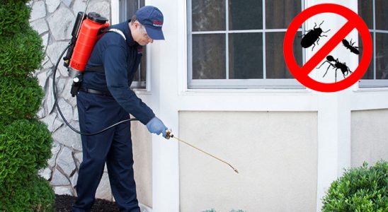Çal Akrep İlaçlama böcek ilaçlama ve haşere kontrolü — ilaclama-tr.com